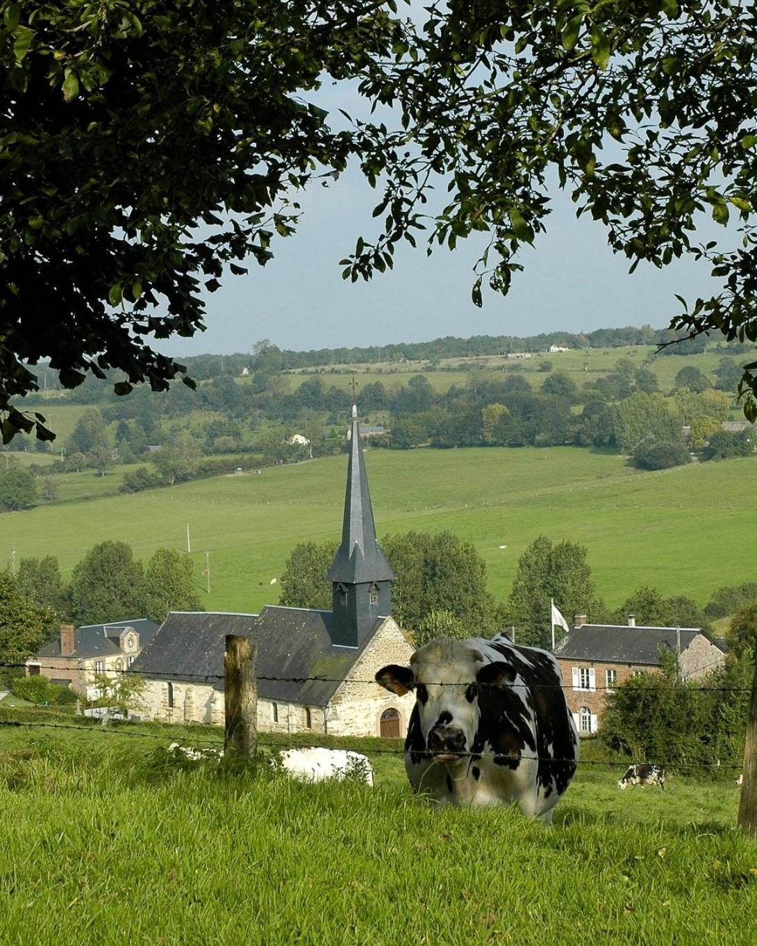 Gite "Le Refuge" Dans Un Domaine De 7Ha Au Calme Vimoutiers Eksteriør billede